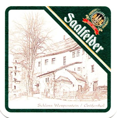 saalfeld slf-th saalfelder hist 28a (quad185-schloss wespenstein)